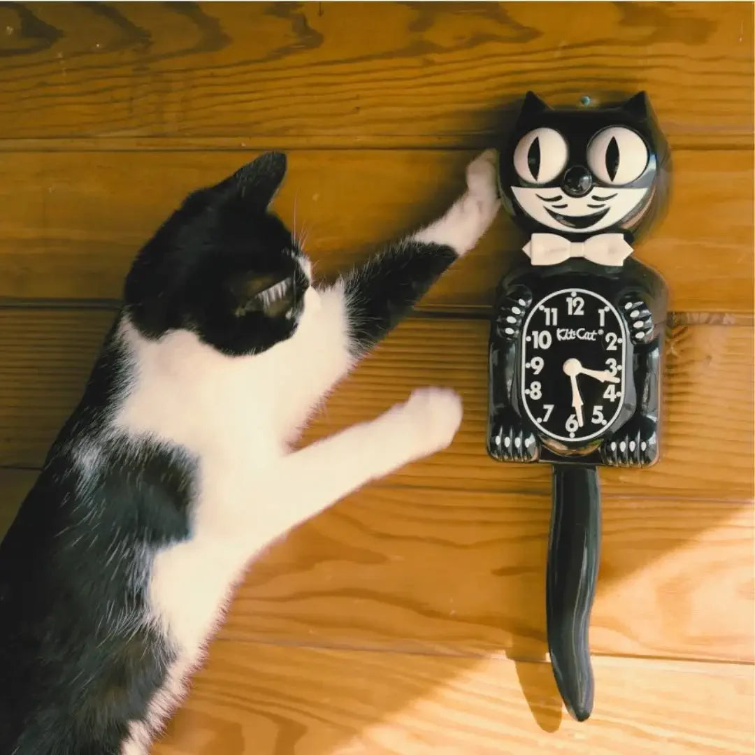 真正貓咪與 Classic Black Kit-Cat 掛鐘的品牌照片