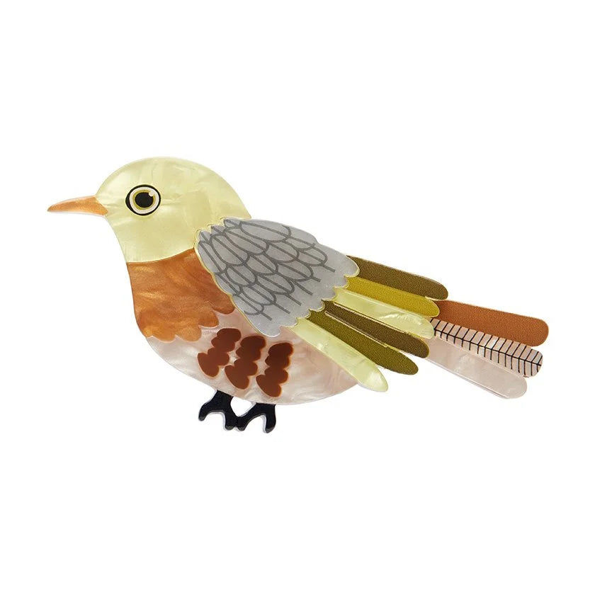 ERSTWILDER | BROOCHES | Treasured Tauhou Brooch