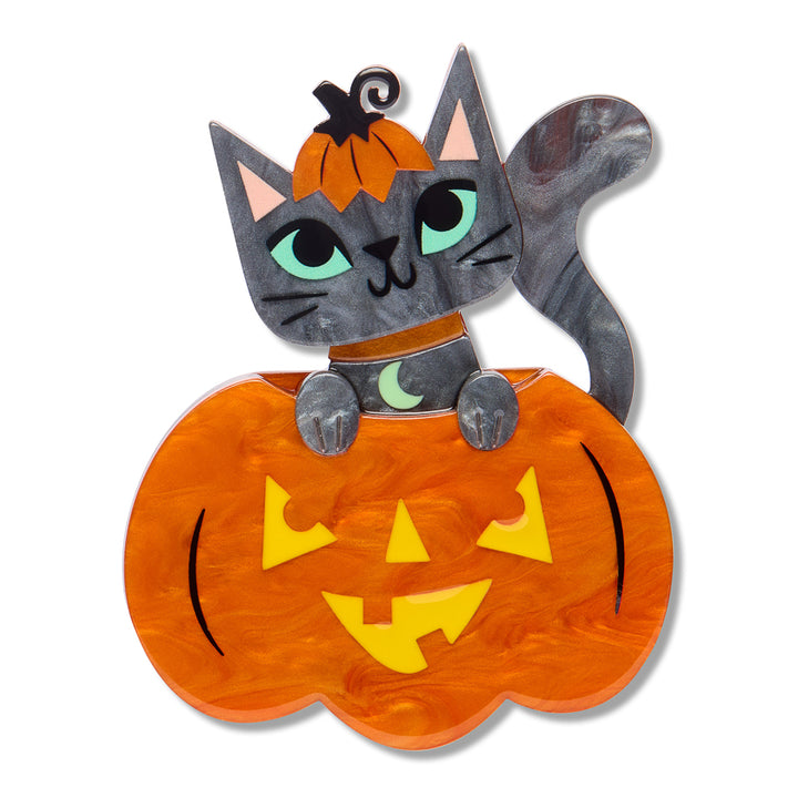 Erstwilder Cat O&