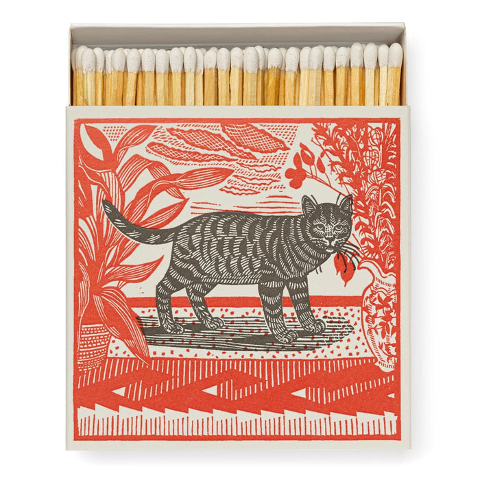 ARCHIVIST |  Safety Matches | Sasha The Cat