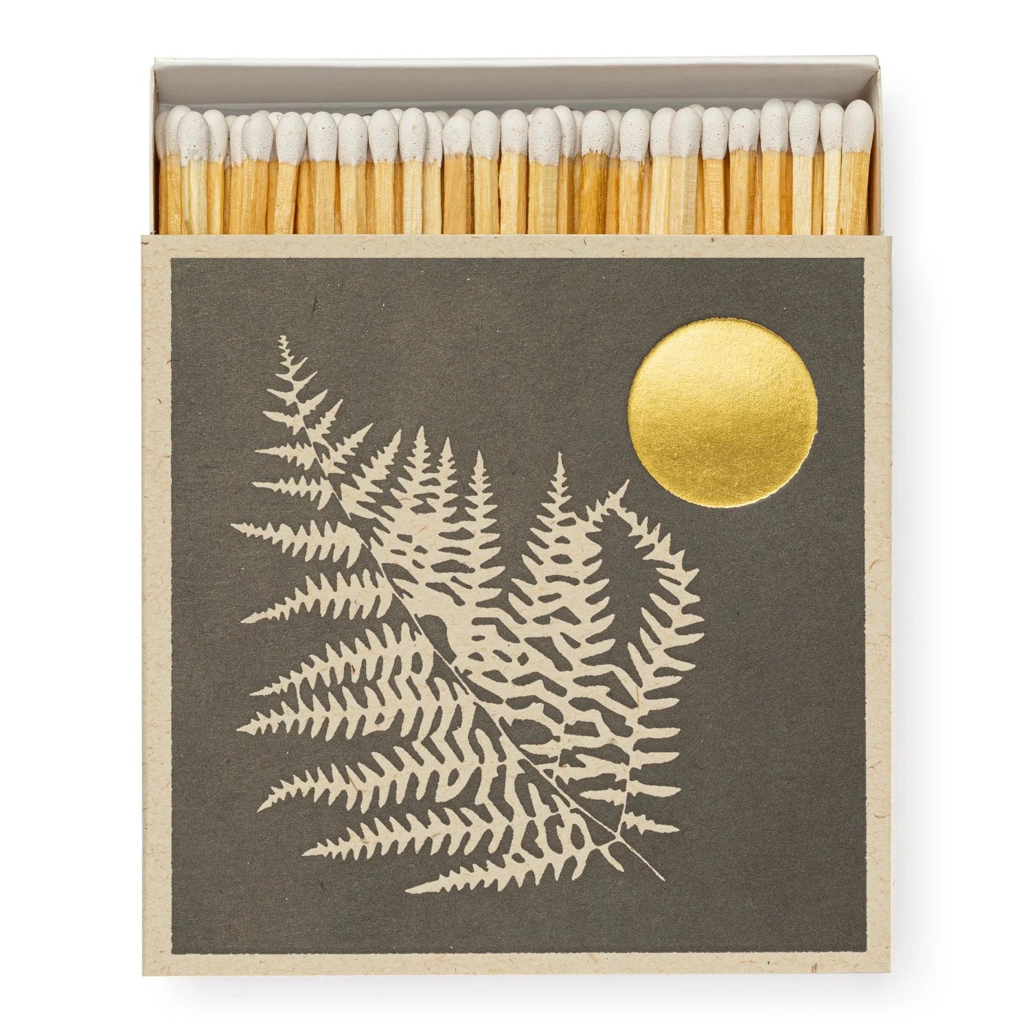 Fern