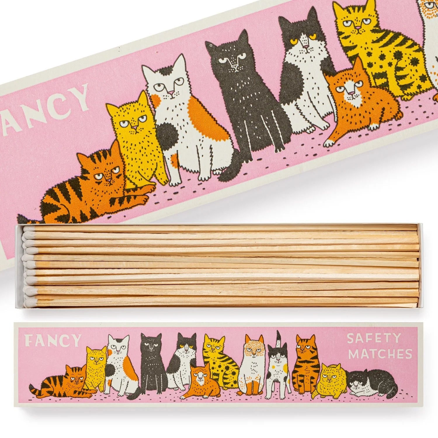 Fancy Cat