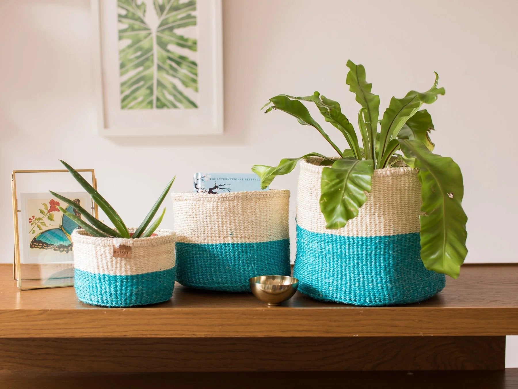 Official turquoise baskets with a wooden cabinet and plants